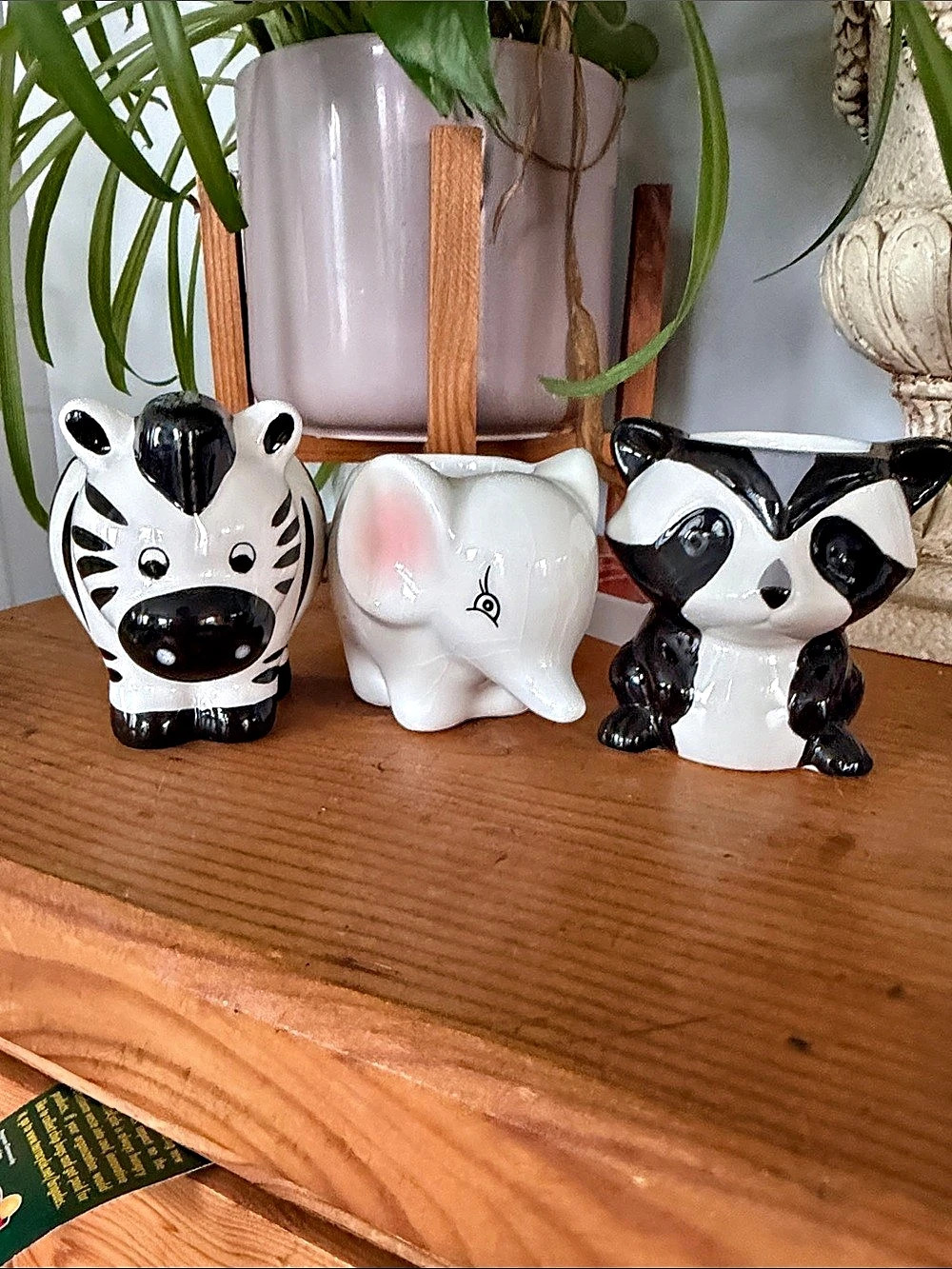 Animal Planter Set in White & Black